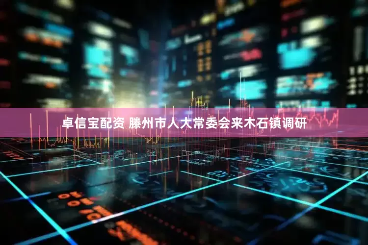 卓信宝配资 滕州市人大常委会来木石镇调研