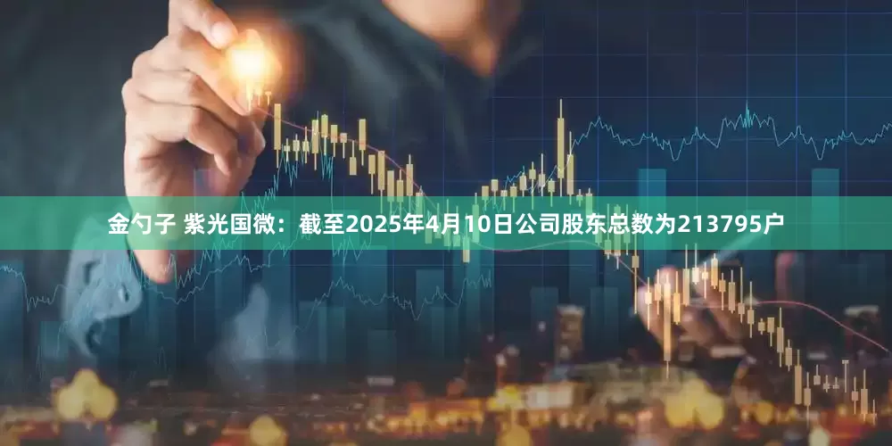 金勺子 紫光国微：截至2025年4月10日公司股东总数为213795户